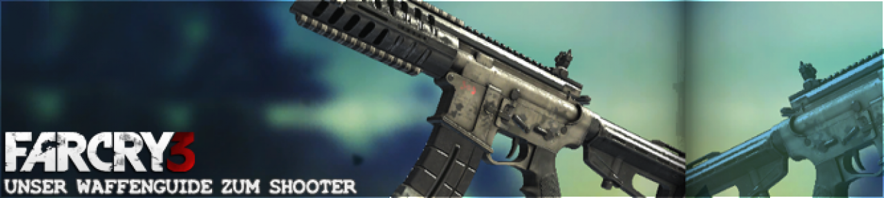 [25/11/2012] Waffe: P416