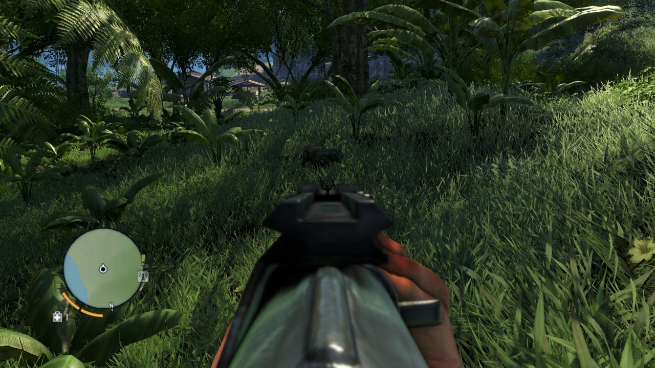 [30/11/2012] Der Dschungel aus Far Cry 3. (4)