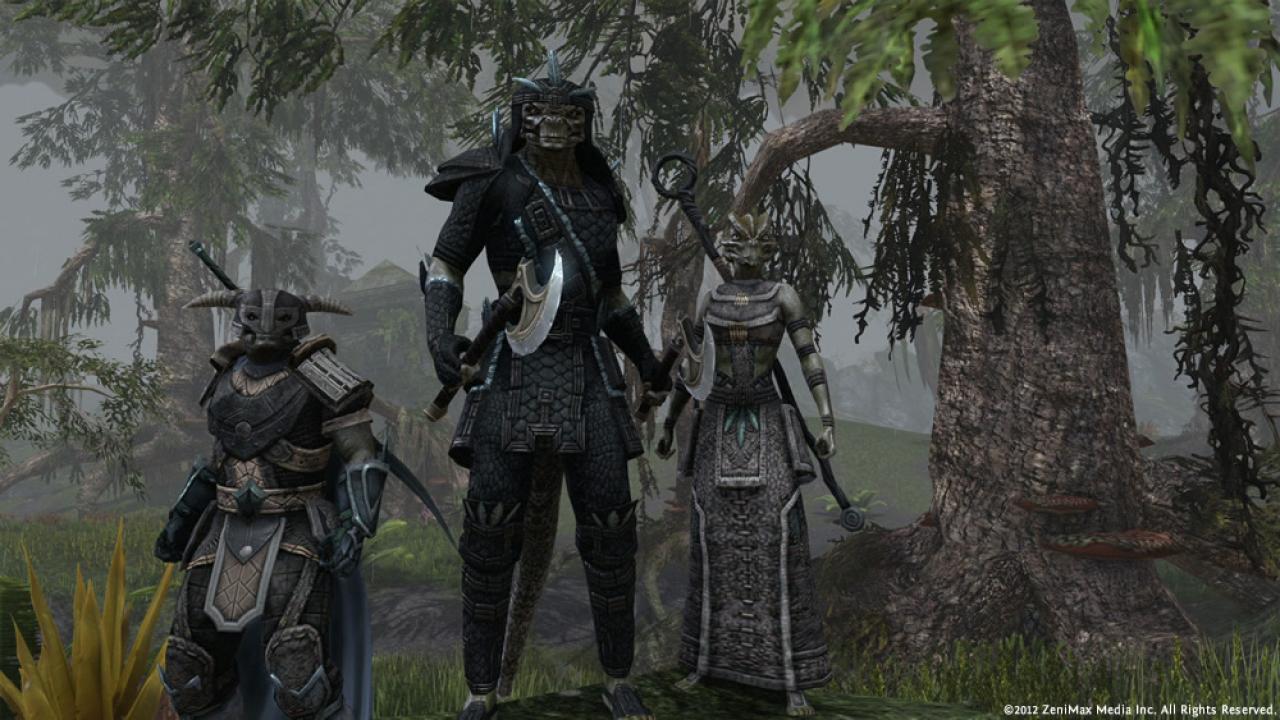 [02/11/2012] The Elder Scrolls Online - Die Entwicklung von Online-Rollenspielen ist mit ungeheurem Zeitaufwand verbunden. In diesem Jahr startet die Beta, zeitgleich muss das Feedback ausgewertet werden. Gut möglich, dass der geplante Release irgendwann 2013 nicht eingehalten werden kann. Wir drücken Zenimax Online die Daumen. 