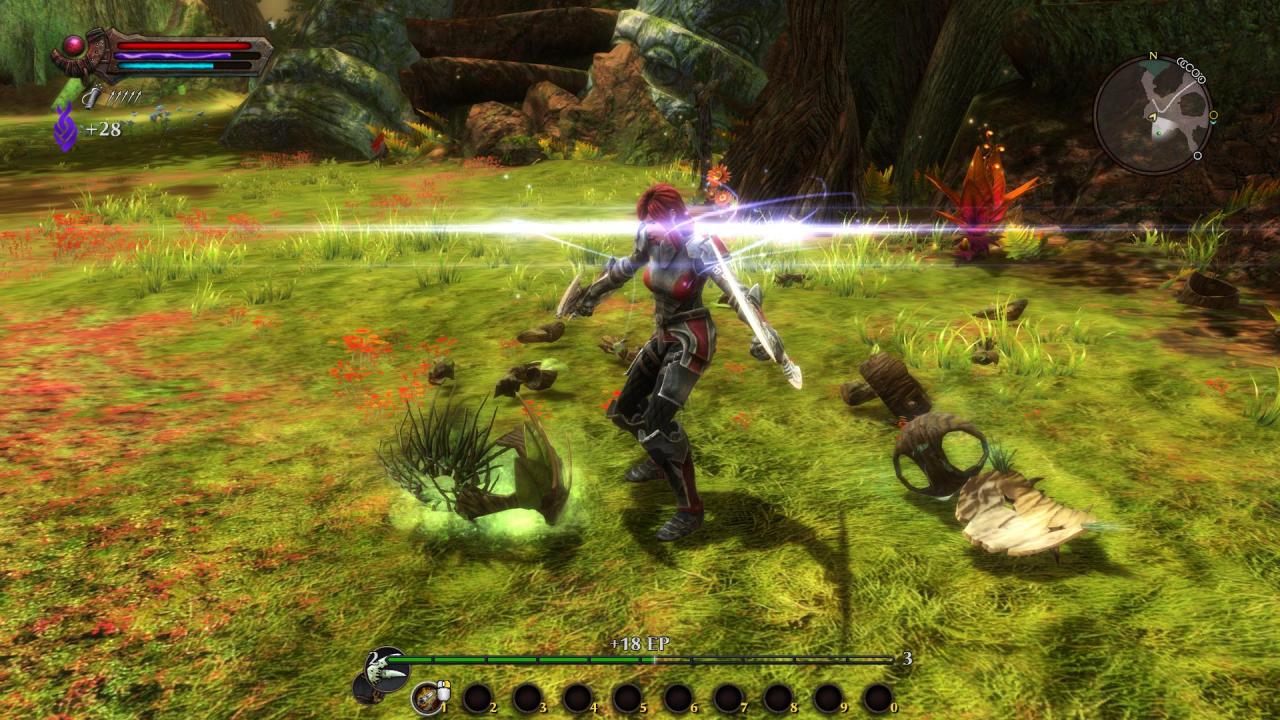 [17/12/2012] Platz 6: Kingdoms of Amalur: Reckoning - 3,4 Prozent der Stimmen