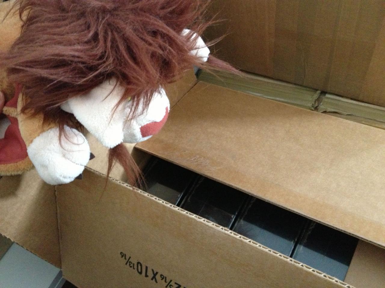 [11/02/2013] ... und lässt sich nicht davon abhalten, in die anderen Päckchen reinzuschauen. Sind das etwa Collector's Editions?
