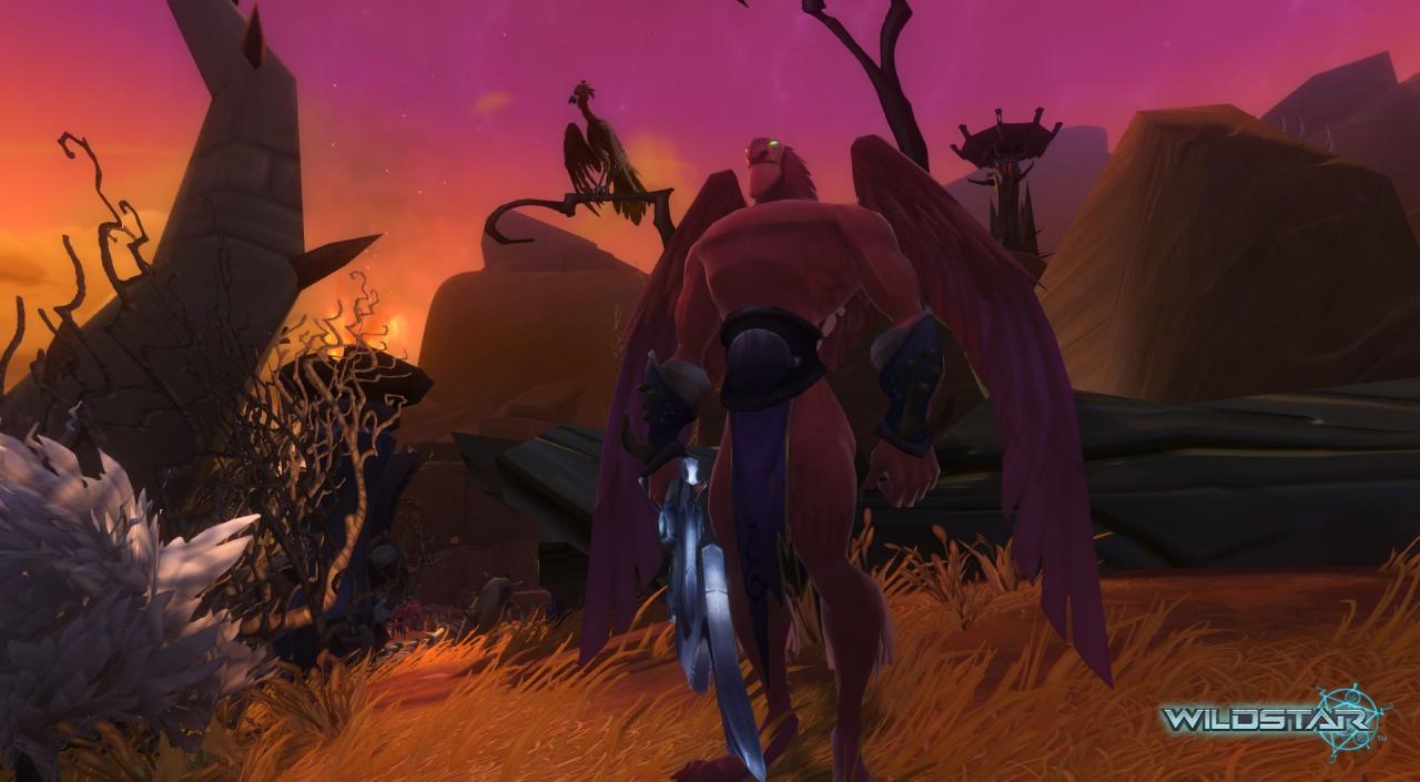 [05/02/2013] Wildstar soll in den nächsten drei Monaten in die Closed Beta starten. (20)