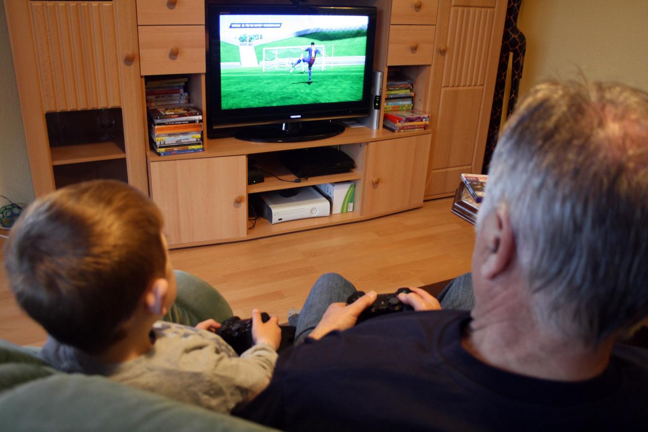 [17/06/2013] Konsumenten von Videospielen findet man in allen Gesellschafts- und Altersschichten. Selbst Großväter trauen sich mit ihren Enkeln gemeinsam an die Konsole - entsprechende Titel vorausgesetzt.