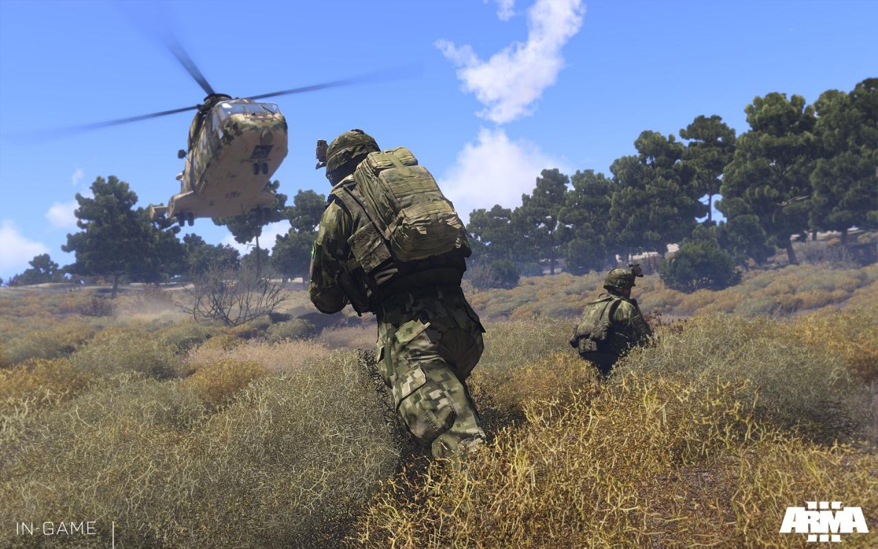 [07/06/2013] ArmA 3 + DayZ von Bohemia Interactive sollen beide noch in diesem Jahr erscheinen. Die Militär-Simulation ging kürzlich in die Beta-Phase über und soll im dritten Quartal fertiggestellt sein. Die Zombie-Überlebens-Simulation DayZ soll bis Mitte August in einer Alpha-Version erschienen sein. Hoffen wir es.