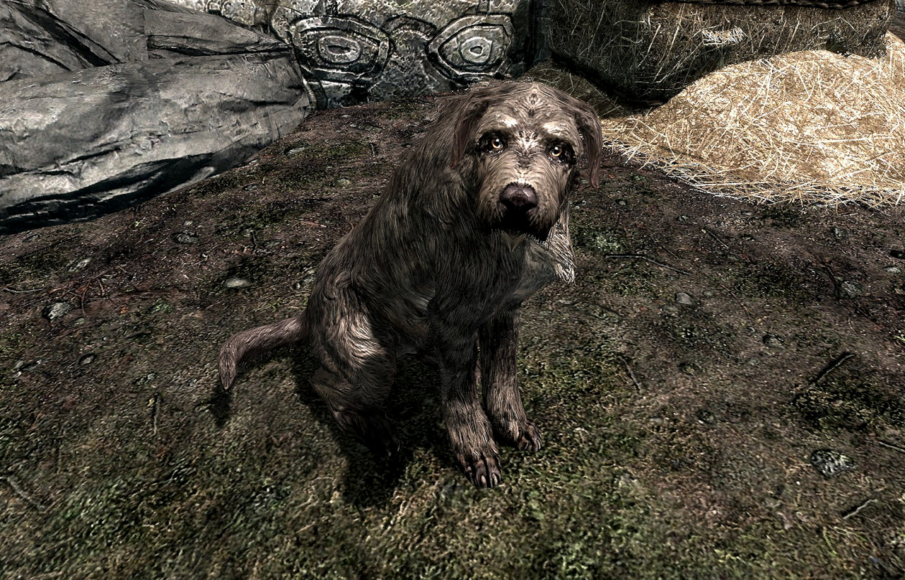 [30/08/2013] In The Elder Scrolls 5: Skyrim geht es besonders tierisch zu. Hier haben wir die Wahl zwischen gleich drei sabbernden Fellknäulen. Da wäre Meeko, dessen Herrschen gestorben ist, Vigilance den man in Markarth käuflich erwerben kann und Barbas, der sprechende Jagdhund, der eigentlich mehr übernatürliche Kreatur ist. Großer Nachteil der vierbeinigen Begleiter: das Schleichen könnt ihr euch Schenken.