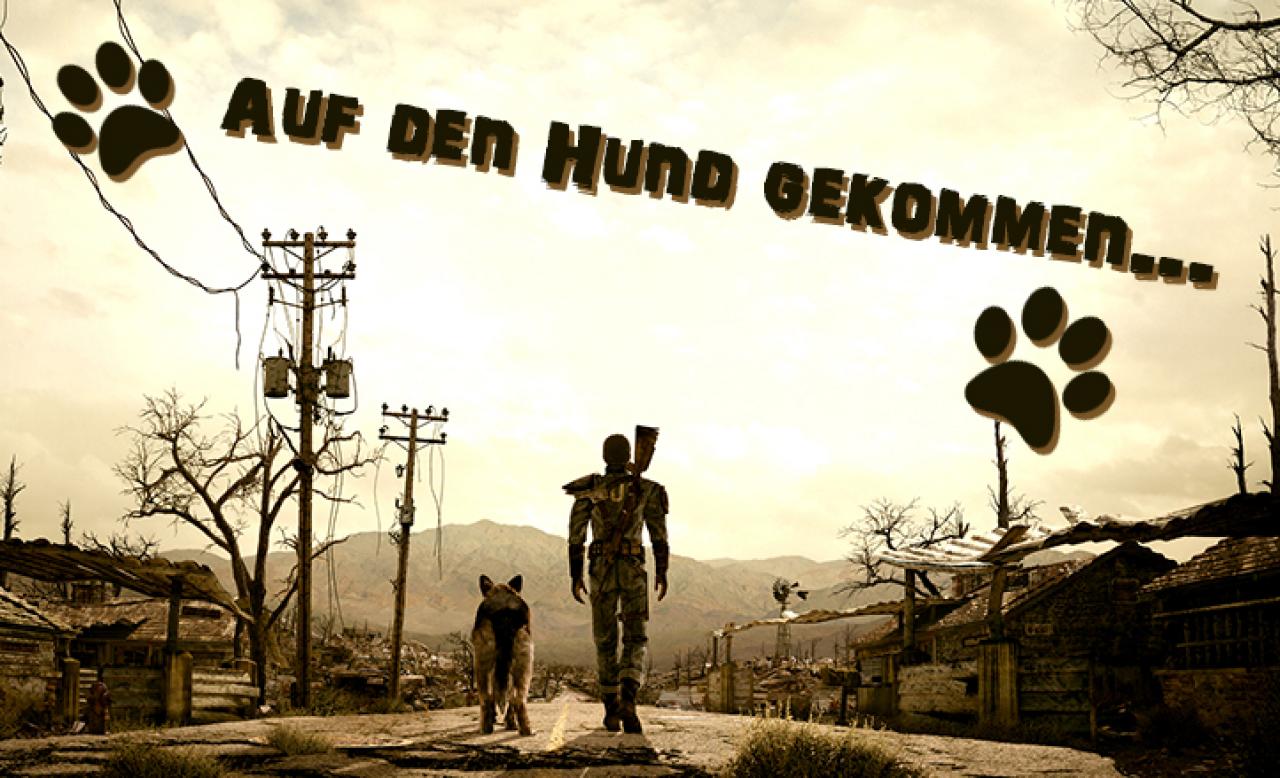 [30/08/2013] Des Menschen bester Freund darf in Videospielen natürlich nicht fehlen. Wir zeigen euch, in welchen Games es hundemäßig zur Sache geht.