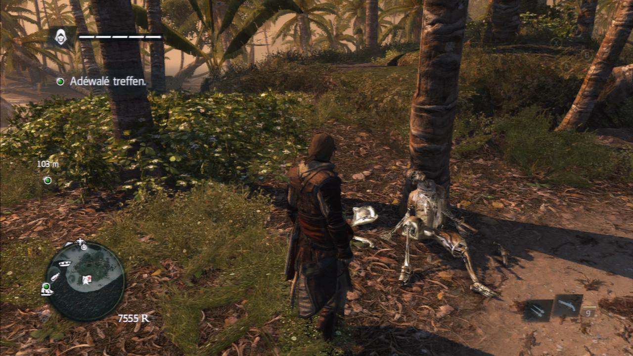 [05/11/2013] Assassin's Creed 4: Black Flag - Geheimnis