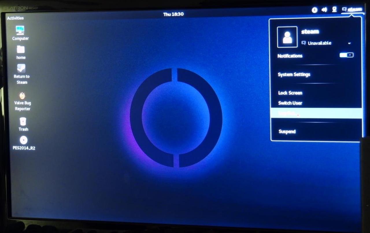 [27/12/2013] Steam bei der Custom-Installation: der Logout geschieht rechts oben