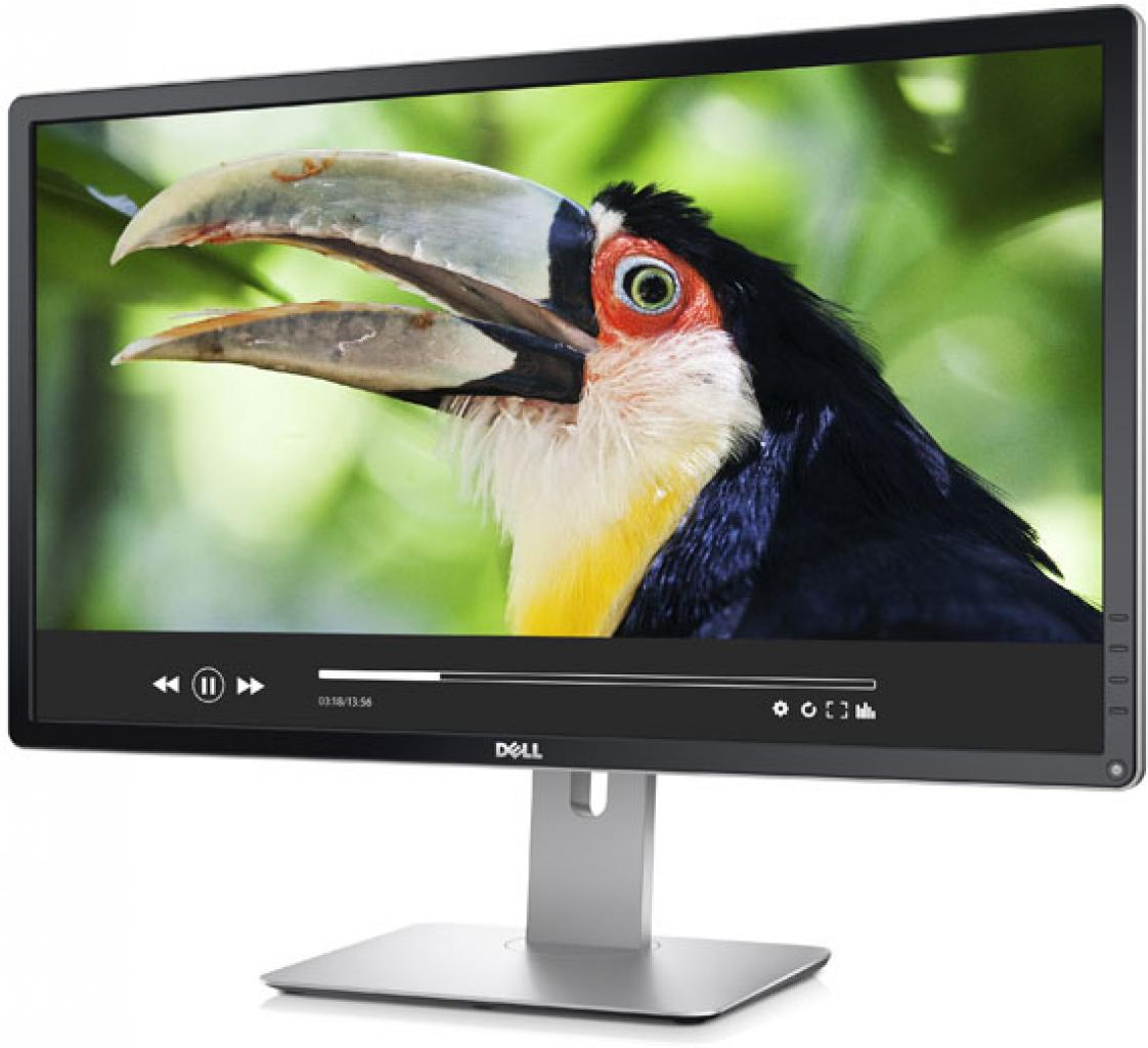 [09/01/2014] Dell Professional P2815Q