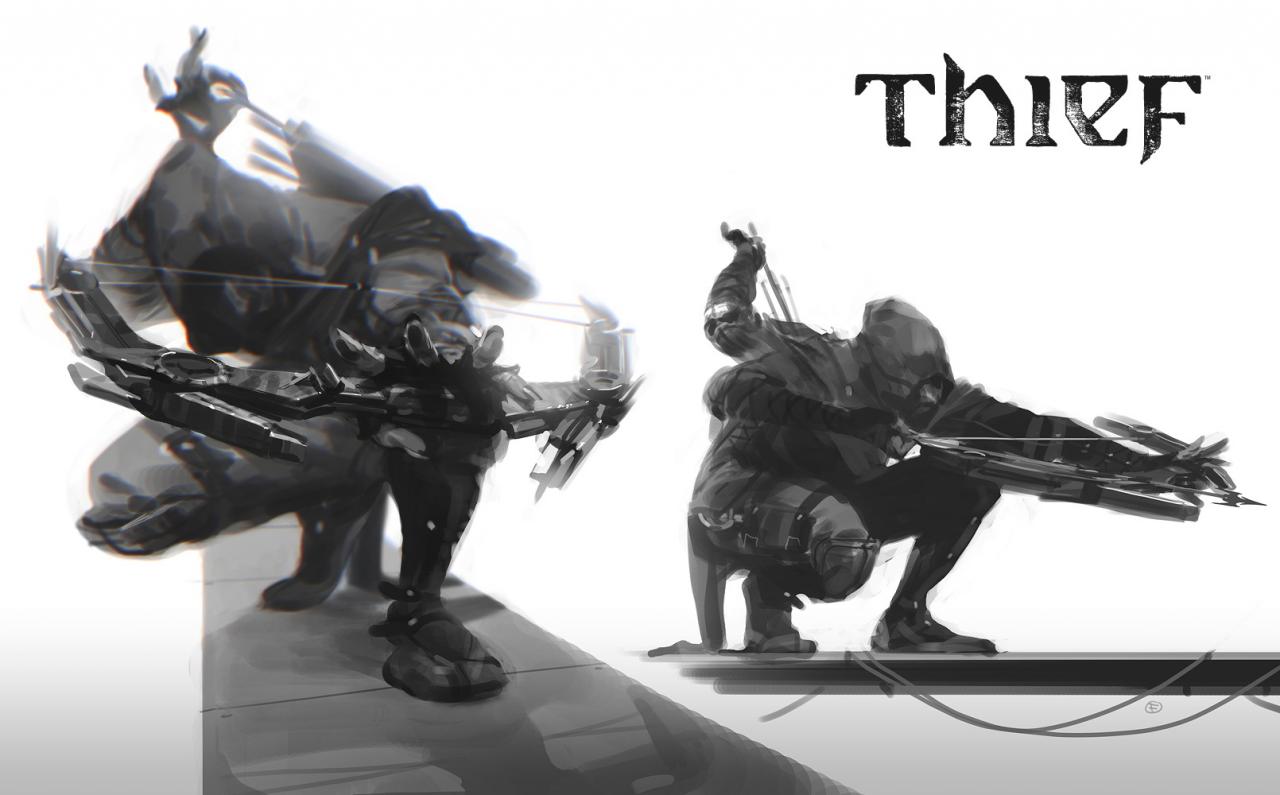 [24/01/2014] Thief