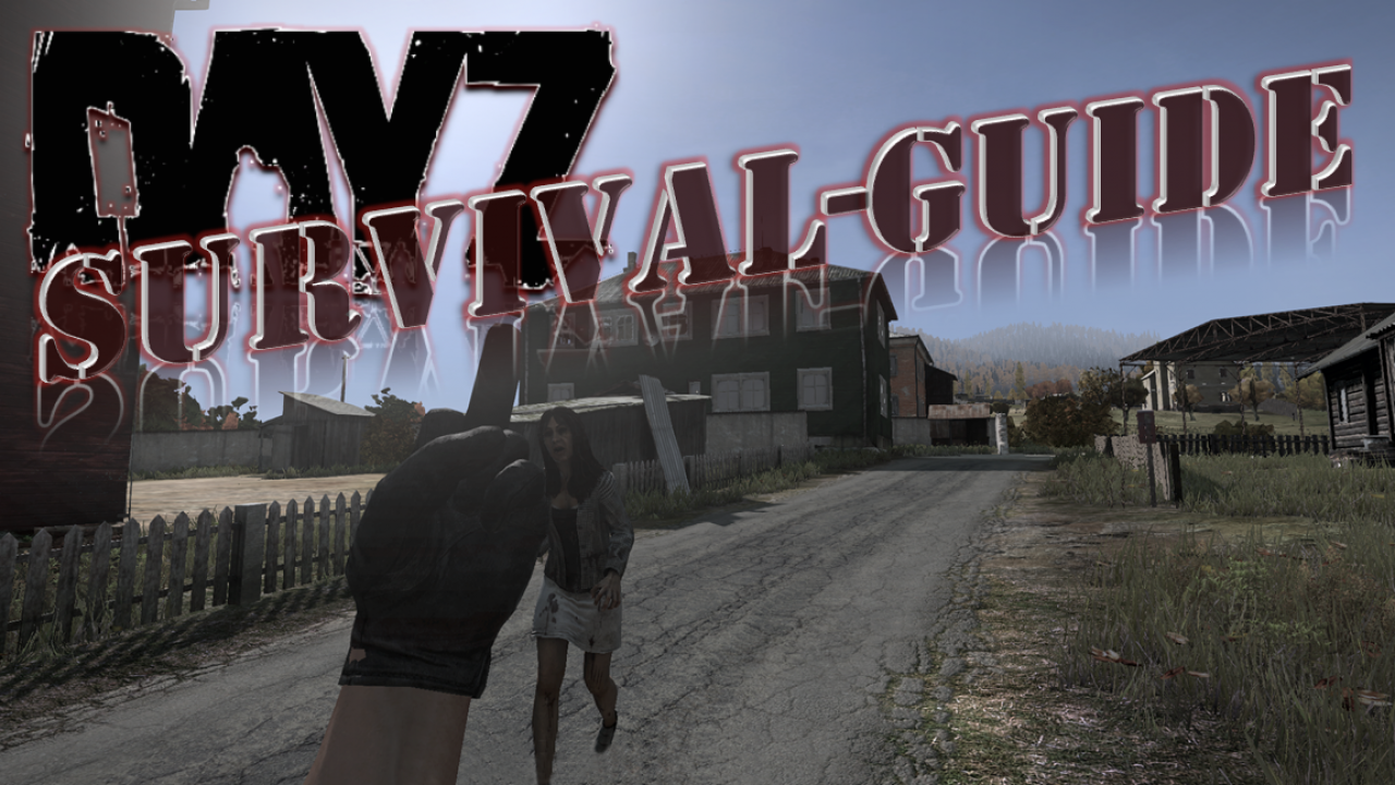 [09/01/2014] So überlebt ihr in Chernarus: Der DayZ-Survival-Guide