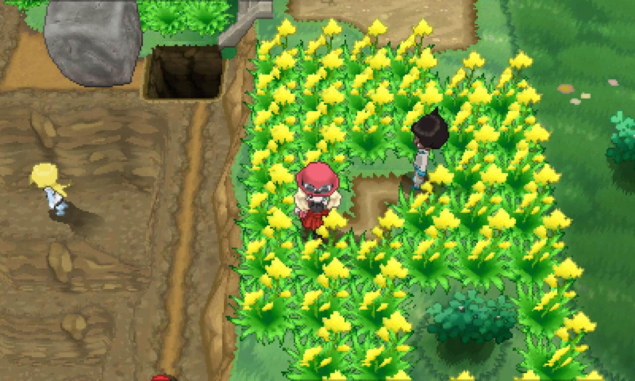 [28/02/2014] Pokémon Y und Y: Route 8 (1)