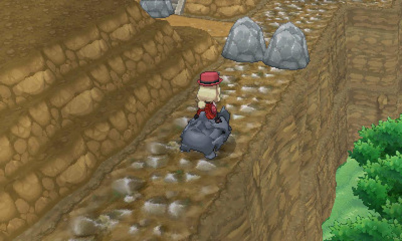 [28/02/2014] Pokémon Y und Y: Route 9 (2)
