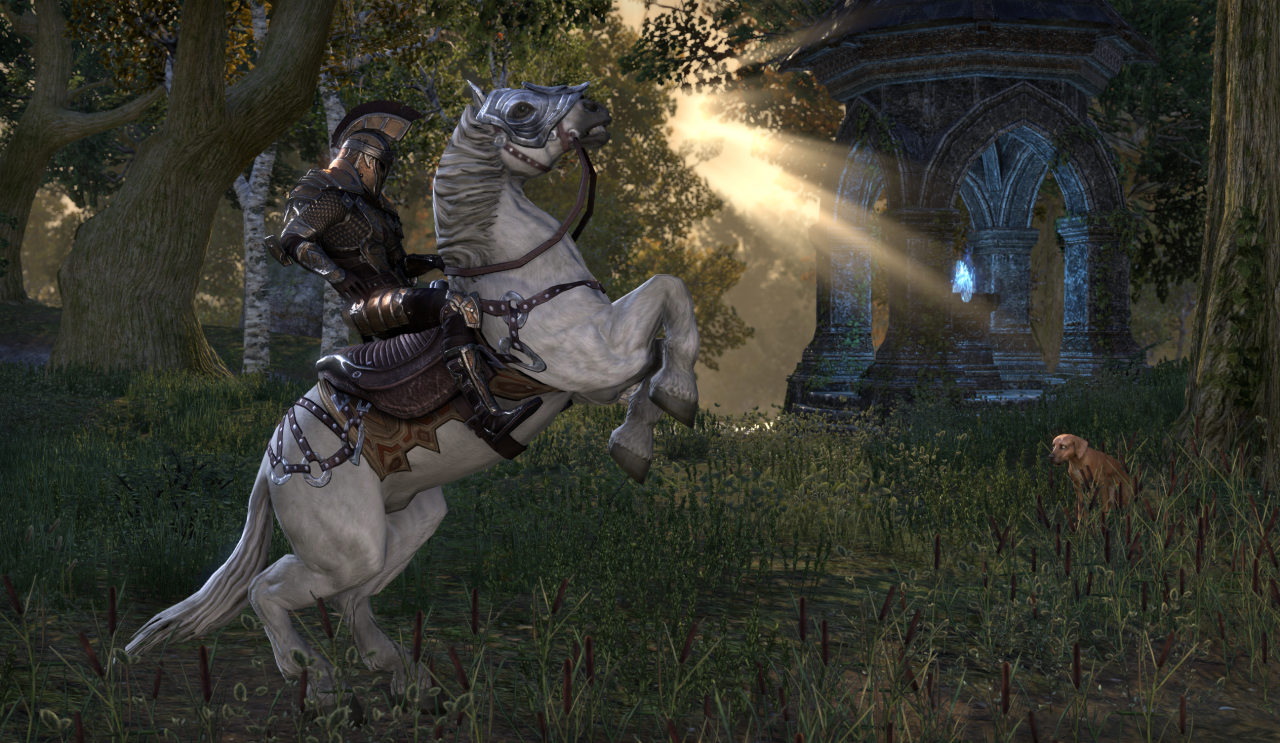[11/02/2014] The Elder Scrolls Online - Beta im Praxis-Test. (2)