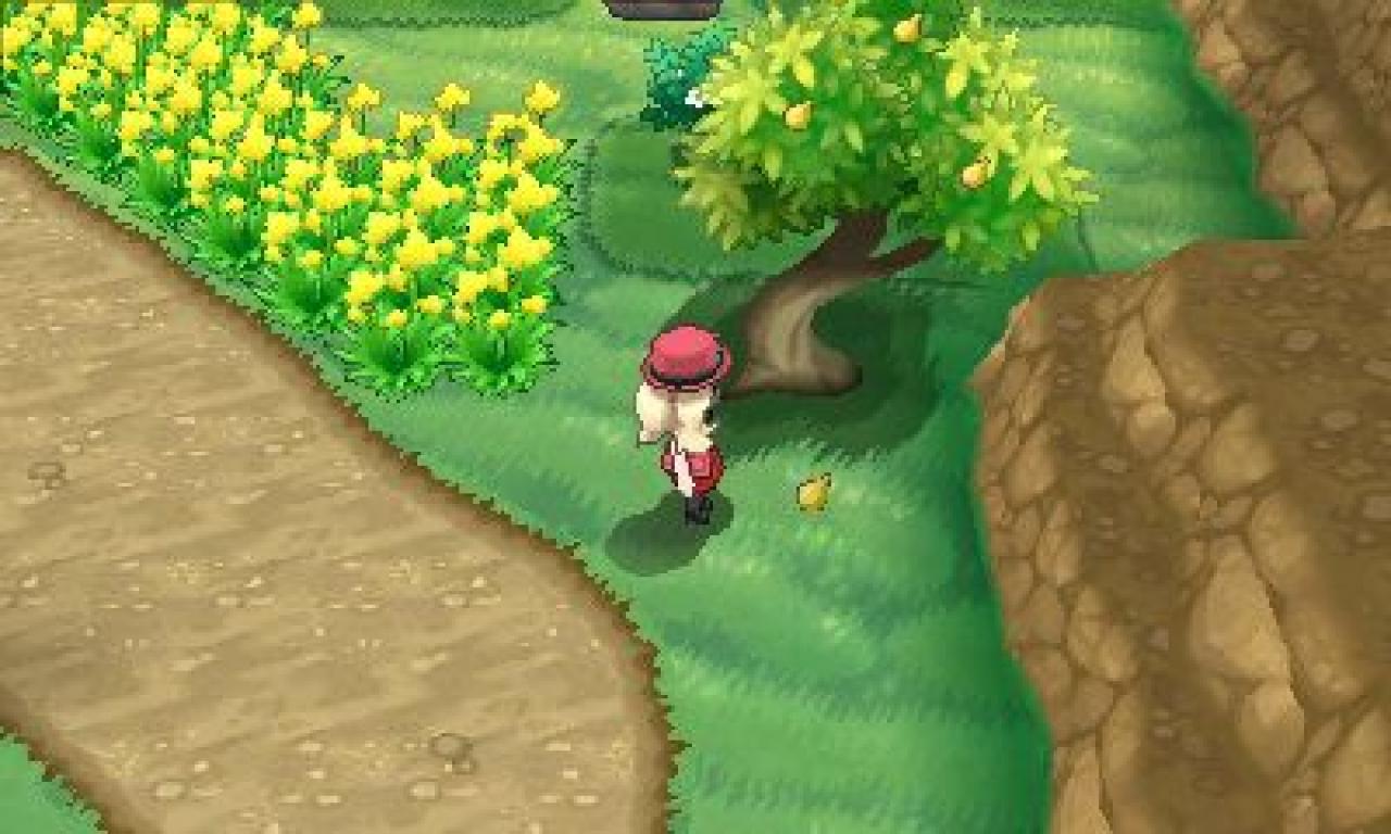 [05/03/2014] Pokémon X und Y: Route 10 (2)