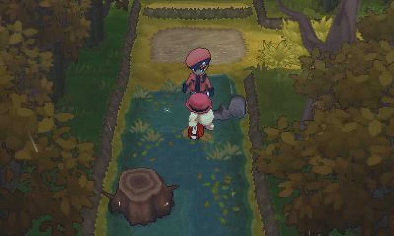 [12/03/2014] Pokémon X und Y: Route 14 (4)