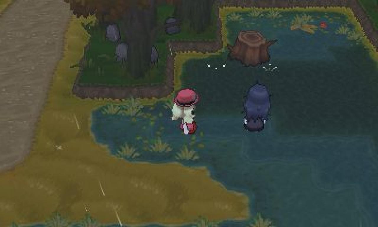 [12/03/2014] Pokémon X und Y: Route 14 (5)