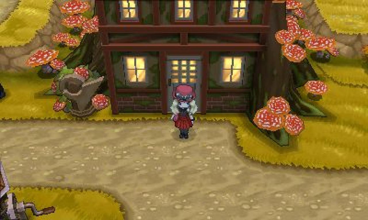 [12/03/2014] Pokémon X und Y: Romantia City - Arena (3)
