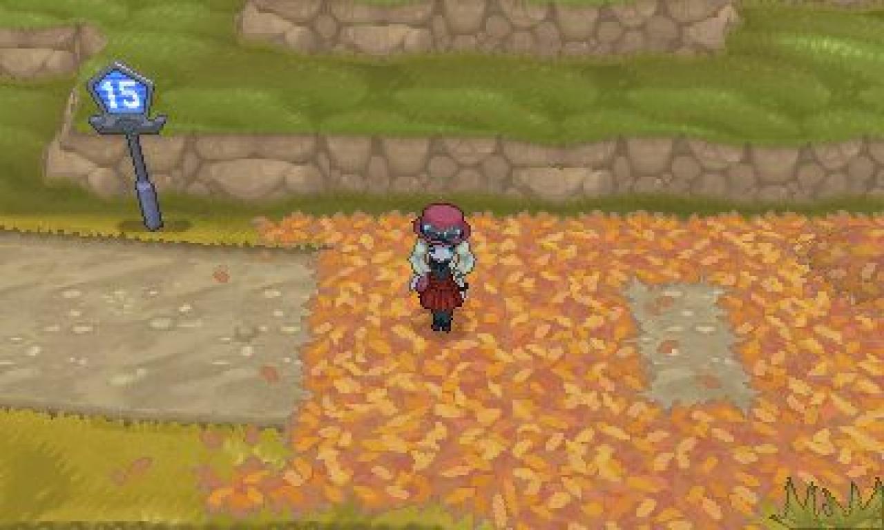 [14/03/2014] Pokémon X und Y: Route 15 (1)