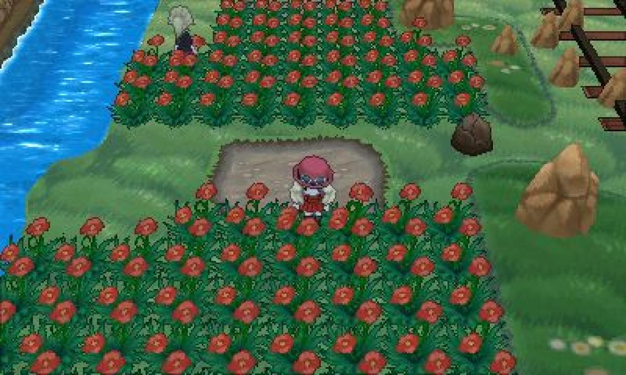 [20/03/2014] Pokémon X und Y - Route 18 (7)