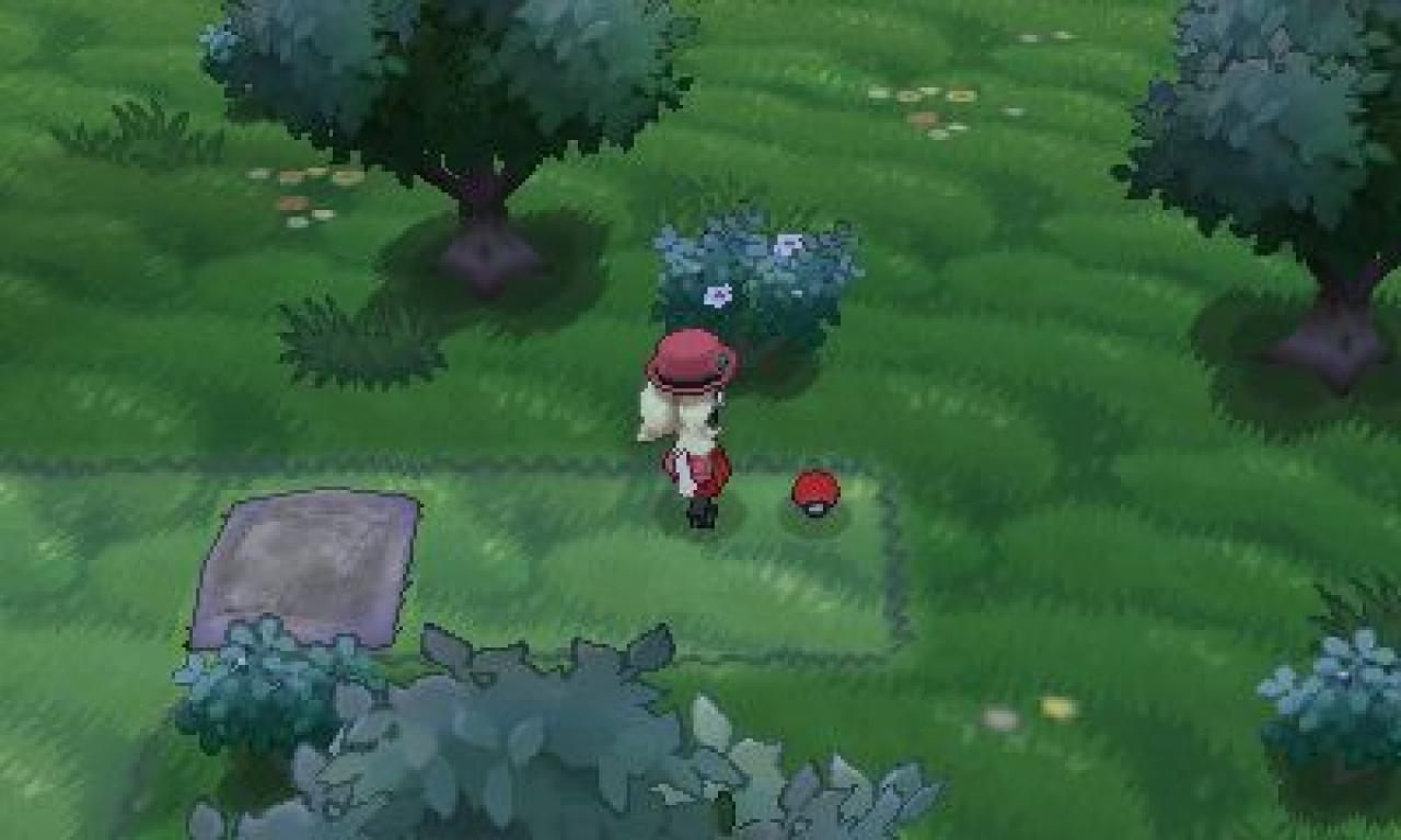 [20/03/2014] Pokémon X und Y - Route 19 (6)