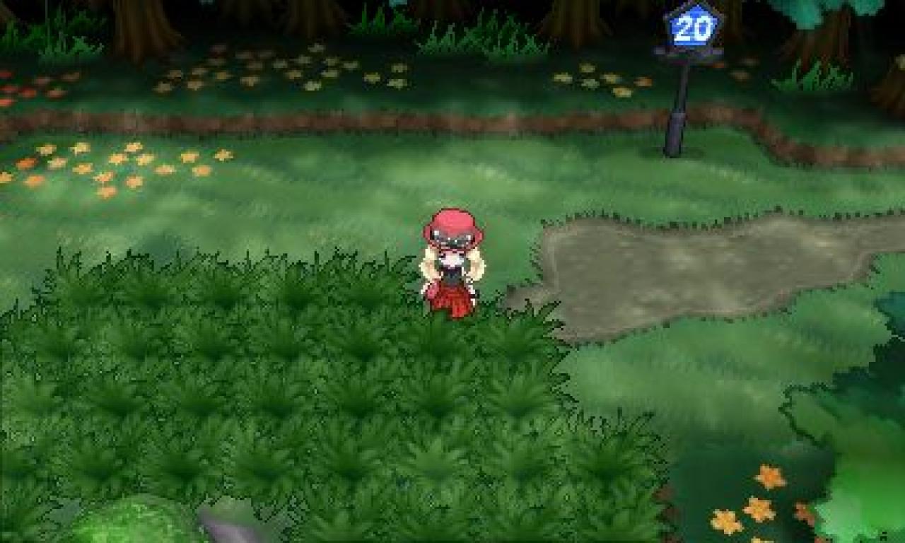 [20/03/2014] Pokémon X und Y - Route 20 (1)