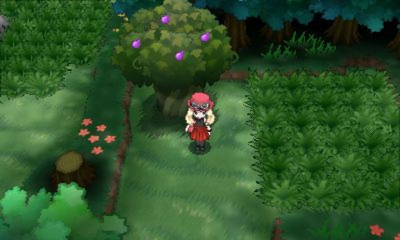 [20/03/2014] Pokémon X und Y - Route 20 (2)