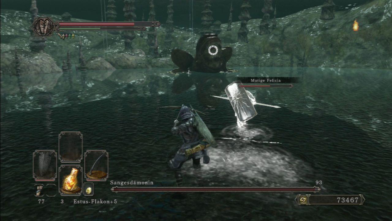 [11/03/2014] Dark Souls 2 im Test. (6)