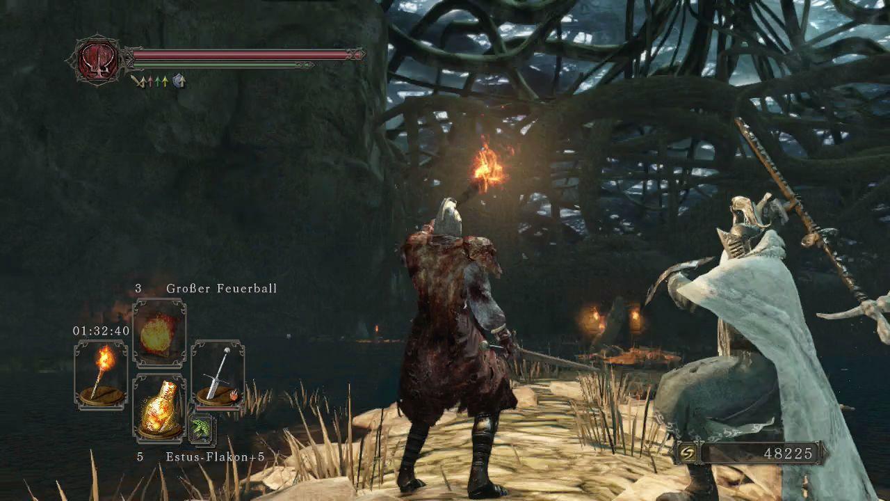 [11/03/2014] Dark Souls 2 im Test. (11)