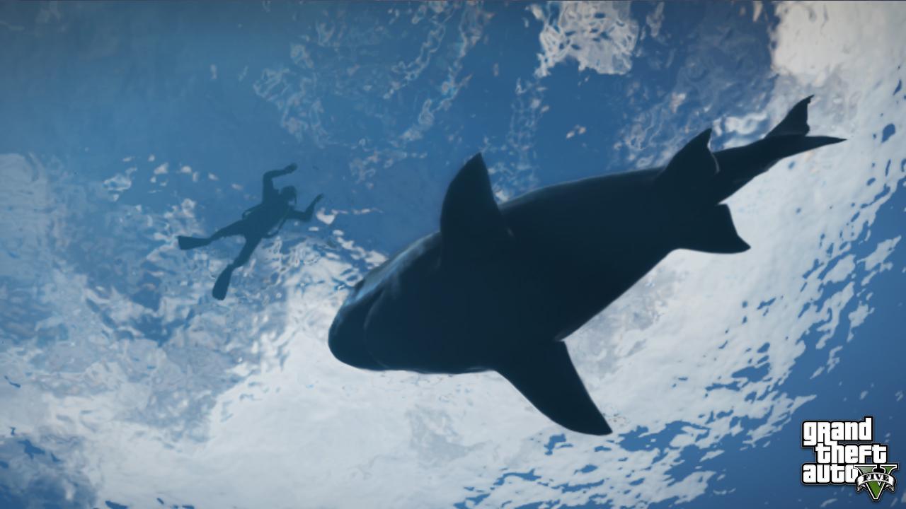 [25/07/2014] Zu der Vielzahl an Freizeitaktivitäten, denen ihr in GTA 5 frönen könnt, zählen auch ausgiebige Tauchgänge vor der Küste von Los Santos. Auf Seeungeheuer trefft ihr dabei zwar nicht, die gefräßigen Haie sind jedoch nicht weniger gefährlich, wenn sie erst einmal auf euren Geschmack gekommen sind.