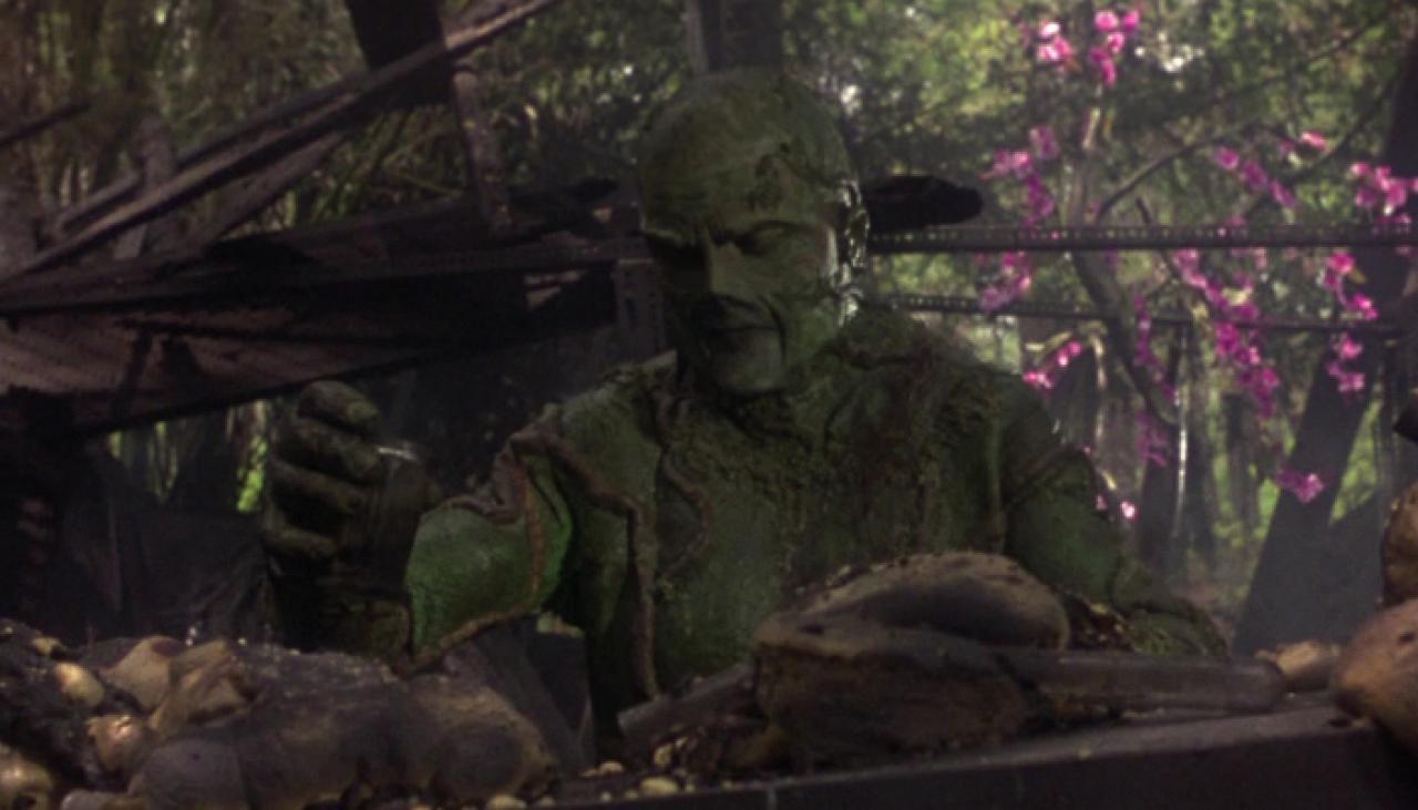 [29/08/2014] Swamp Thing in 
