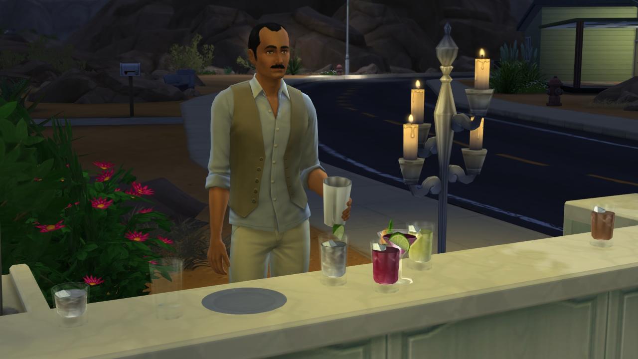 [16/09/2014] Die Sims 4 - Job als Barmixer