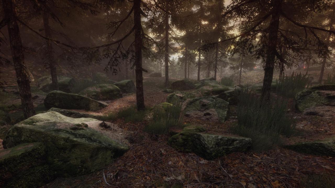 [29/09/2014] The Vanishing of Ethan Carter - Wer sich Dear Esther mit ein wenig mehr Interaktion wünscht, umrahmt von einer mysteriösen Geistergeschichte, kommt mit diesem Indie-Adventure voll auf seine Kosten.
