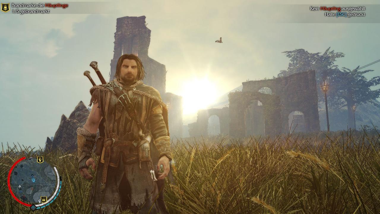 PC-Version (alle Details)