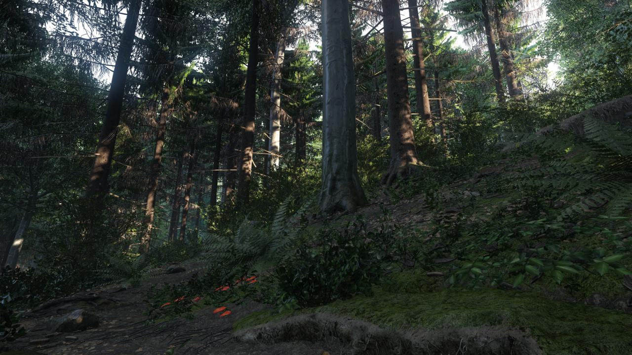[24/10/2014] Kingdom Come: Deliverance - Was wir bislang in Bild- und Videomaterial sehen durften, lässt darauf schließen, dass wir in dem Mittelalter-Rollenspiel durch die bislang beeindruckendsten Wälder der Videospiel-Geschichte spazieren dürfen.