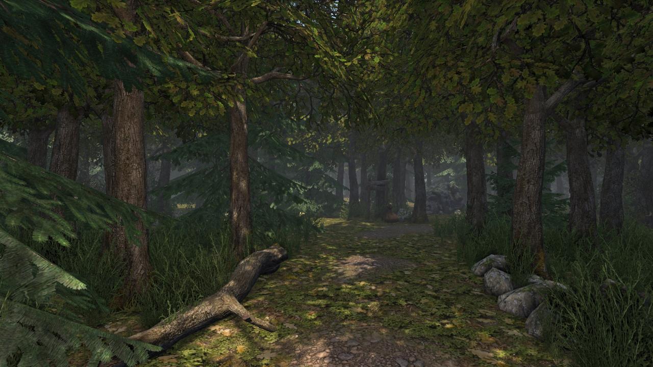 [16/10/2014] Die lauschigen Wälder sorgen für ungewohnte Anblicke in Grimrock 2.