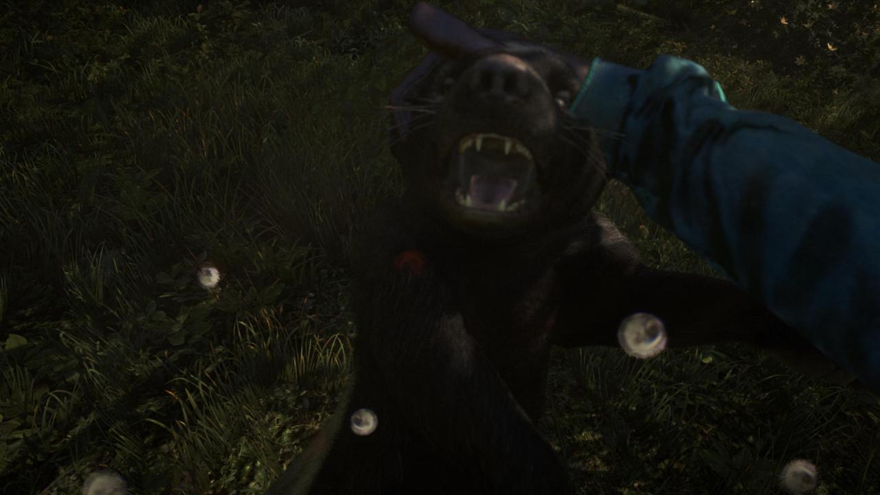 [26/11/2014] Far Cry 4 - In Ubisofts Open-World-Shooter könnt ihr euch keine zehn Meter bewegen, ohne mit Schlangen an den Armen, einem Rudel Wölfe im Rücken und einem Honigdachs am Allerwertesten, der sich in selbigem verbissen hat, konfrontiert zu werden. Sorgt für stetige Action, kann aber auch gehörig nerven. Richtet sich an Spieler mit Aufmerksamkeitsspanne eines dementen Goldfisches.