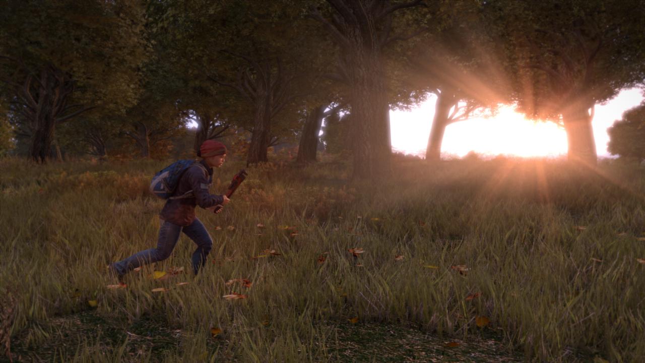 [05/11/2014] Early-Access-Games stützen sich mangels Optimierung zum Leidwesen vieler Spieler oftmals auf den Prozessor statt auf die Grafikeinheit. Wie viele Frames ihr in DayZ und Co. pro Sekunde verzeichnet, hängt oftmals von der CPU-Leistung ab. Meist ist die Performance dennoch mehr als verbesserungswürdig. Wer einen starken Rechner besitzt, hat bei Alpha-Versionen oft einen Vorteil.