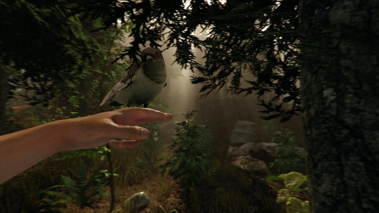 [09/12/2014] The Forest - Zugegeben, beim gemütlichen Spaziergang von Kannibalen überfallen zu werden, sorgt vielmehr für Stress statt Entspannung, ändert aber nichts an der Tatsache, dass der tropische Wald in dem Indie-Hit grafisch beeindruckend aussieht.
