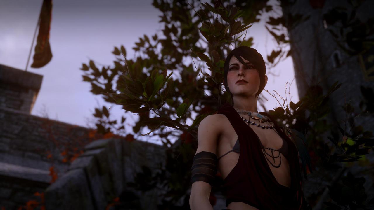 [16/12/2014] Platz 1: Dragon Age: Inquisition - 34,22 Prozent der Stimmen.