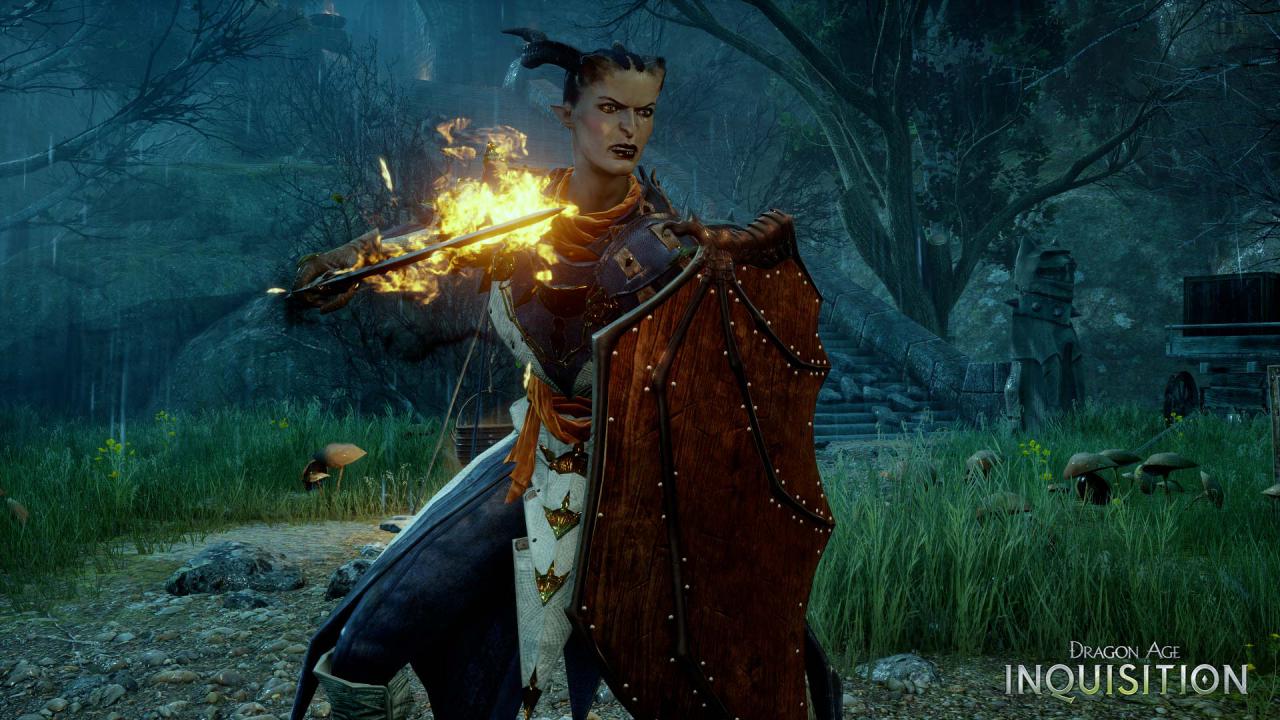 [17/12/2014] Platz 5: Dragon Age: Inquisition - 3,78 Prozent der Stimmen.