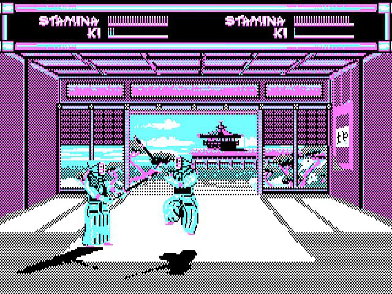 [27/01/2015] Der Fortschritt der Grafikstandards in drei Bildern: Der Kampfsport-Oldie Budokan in CGA-Optik. Auffälligdabei: Die Farbtiefe ist hier wichtiger als reine Pixelzahlen.