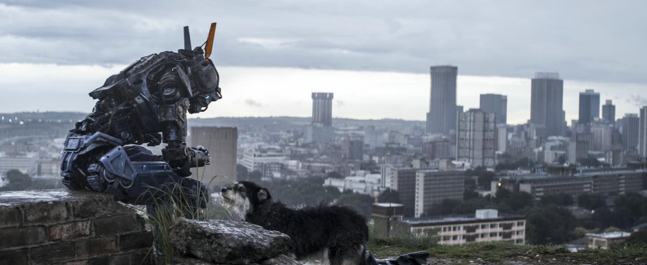 [18/02/2015] Szenenfotos aus dem Film Chappie. (13)