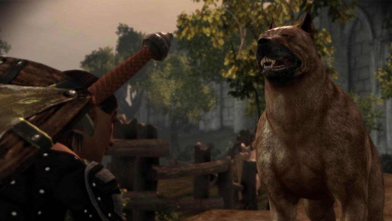 [23/02/2015] Mabari sind ein wichtiger Bestandteil der Kultur von Ferelden.