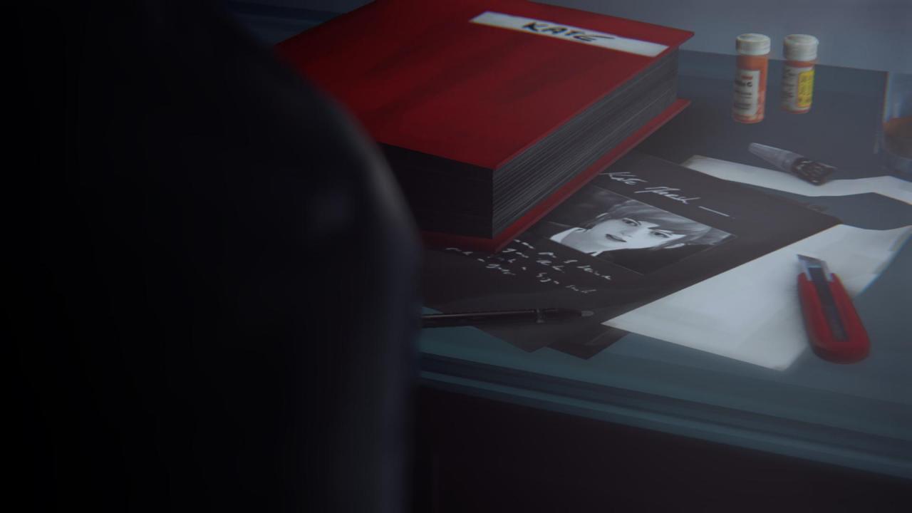 [30/03/2015] Life is Strange: Rehe, Tod, Rachel Amber und andere Fan-Theorien - Vorsicht Spoiler! (4)