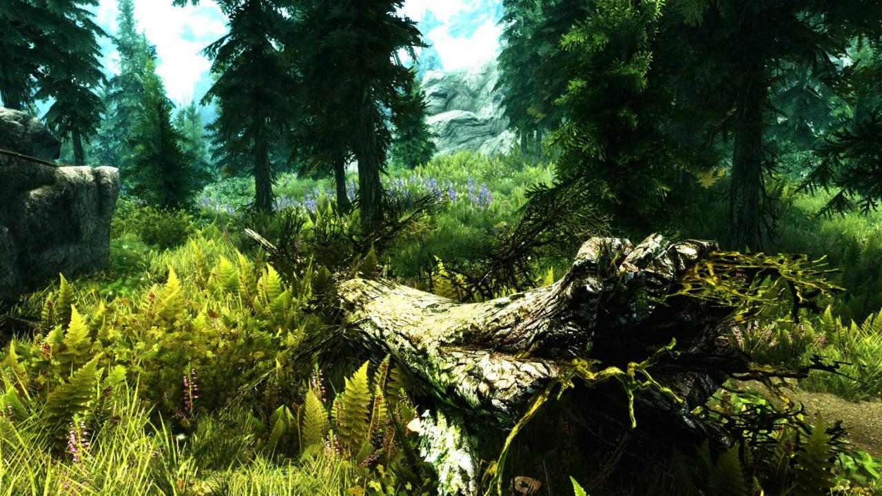 [15/03/2015] The Elder Scrolls: Skyrim - Vorzugsweise installieren wir eine Reihe Mods um den Bäumen und Gräsern zusätzliches Volumen zu verleihen, die Farben satter und die Stimmung sommerlicher wirken zu lassen. Aber auch so können sich die Wälder in Bethesdas Fantasy-Rollenspiel sehen lassen.