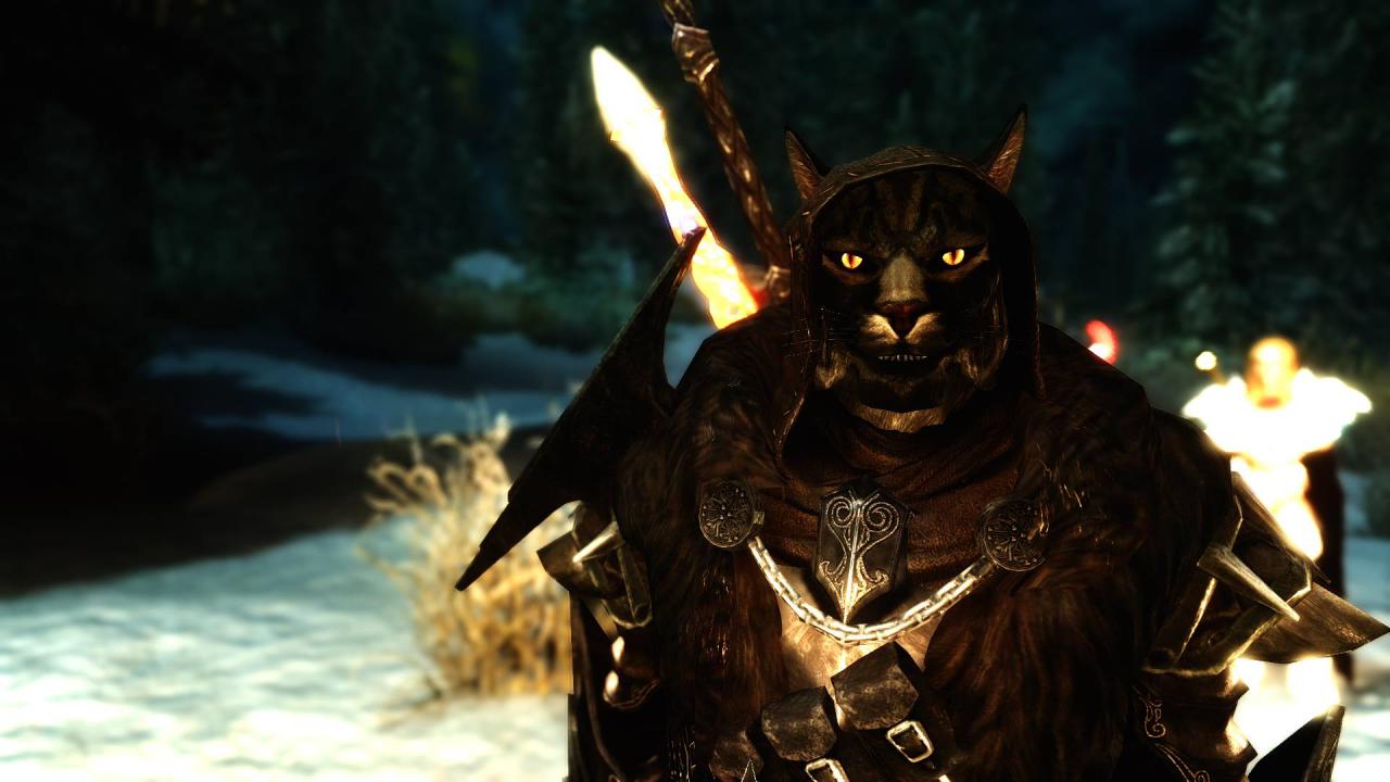 [15/03/2015] The Elder Scrolls: Skyrim gibt es auch auf den Konsolen, das wissen wir. Erst mit diversen Modifikationen, darunter auch die inoffiziellen Patches zur Beseitigung vieler (schwerwiegender) Bugs, sorgen aber erst dafür, dass Bethesdas Fantasy-Rollenspiel sein gesamtes Potential entfalten kann. Selbstverständlich sprechen wir dabei von Lore-freundlichen Mods, die etwa Optik, Sound und Gameplay optimieren.