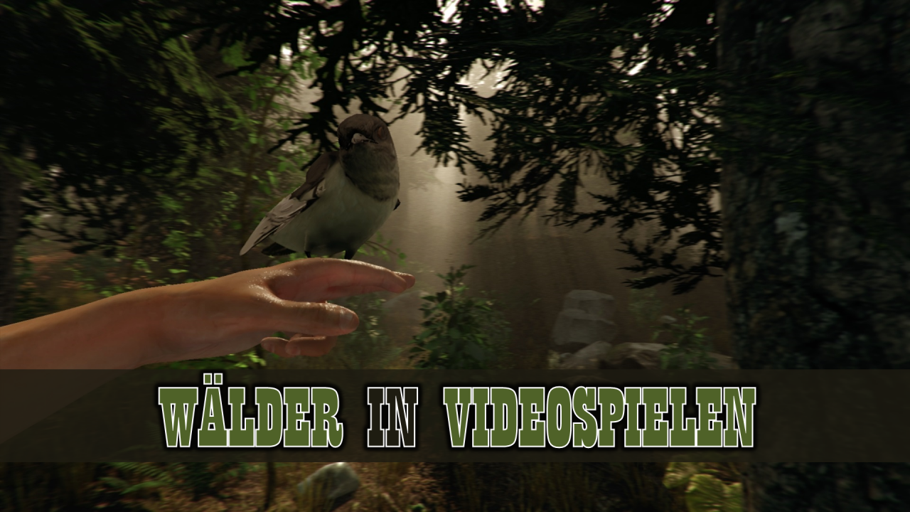 [03/04/2015] Ihr mögt Waldspaziergänge? Wir zeigen euch eine Reihe wunderschöner Videospiel-Wälder.