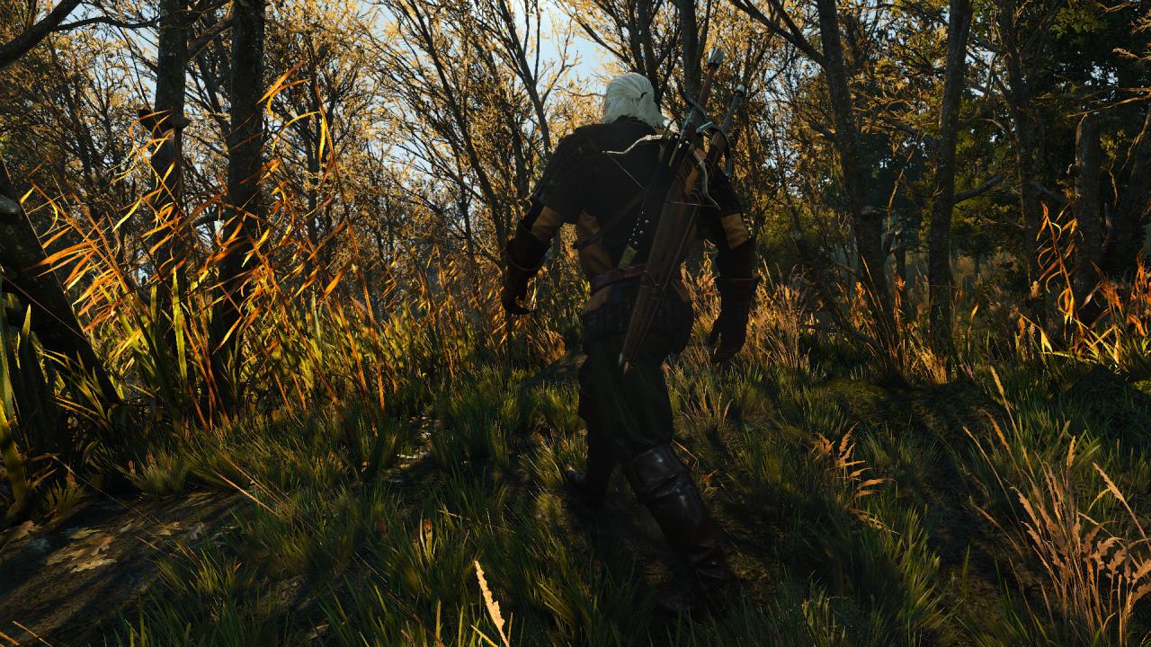[28/05/2015] Wunderschöne Screenshots dank Freecam-Mod, Zeitraffer und Pausefunktion.