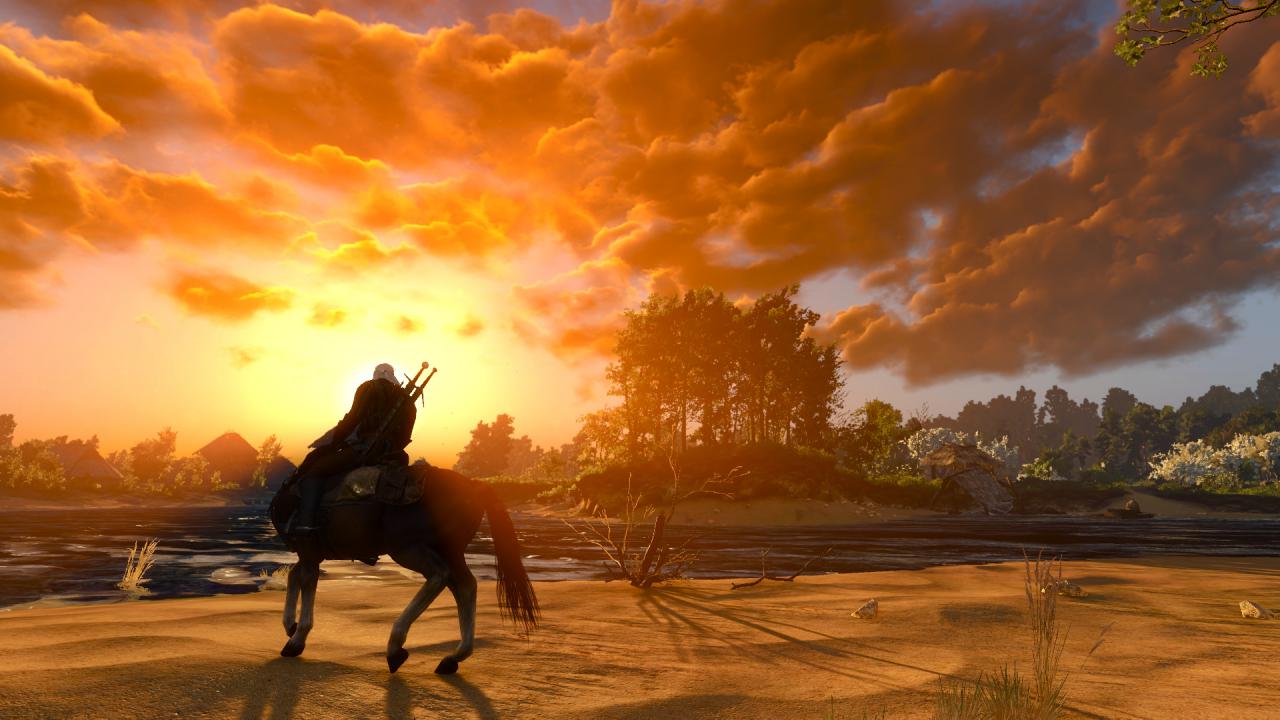 The Witcher 3